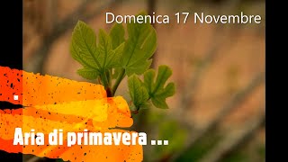 Domenica 17 Novembre  Aria di primavera … [upl. by Arliene769]