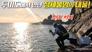 두미도 “물 내려오는 자리”에서 만난 정체불명의 대물 [upl. by Lynne]