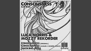 Consciousness Original Mix [upl. by Ahsyekat]