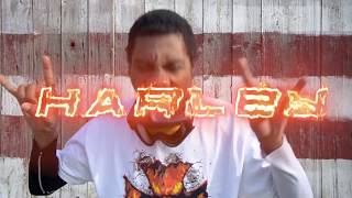 Orrin  HARLEY Official Music Video [upl. by Emerson897]