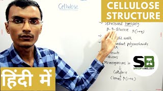 Structure of Cellulose in Hindi [upl. by Greyso]