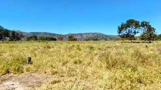 Demorou mas apareceu outra fazenda barata em Goiás 275 há [upl. by Christabelle511]