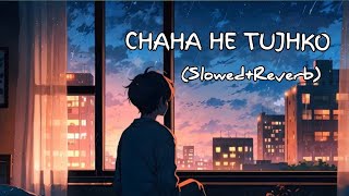 CHAHA HE TUJHKO  slowedreverb  sad song  lofi song  WYC AGR LOFI [upl. by Naeruat]