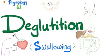 Deglutition Swallowing  Mouth Pharynx amp Esophagus  Gastrointestinal GI Physiology [upl. by Hanway]