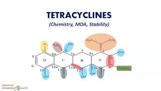 Tetracycline ChemistyMOA Stability [upl. by Reggis]