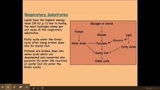 522 Respiration j Respiratory substrates k Respiratory quotients RQ [upl. by Greabe303]