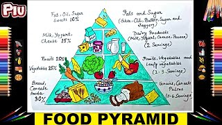 How To Draw Healthy Food Pyramid Drawing Easy  5 Levels And Layers Of Food Nutrition Source Drawing [upl. by Ahsenek476]