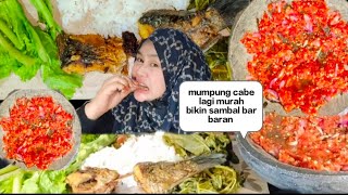 SAMBAL MENTAH IKAN EMAS GORENG LALAPAN DAUN PEPAYA REBUSmukbang sambal mentah bundafamily3783 [upl. by Cosme543]