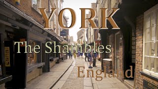 Slow walk along The Shambles looking at the shops  York England [upl. by Ervin]