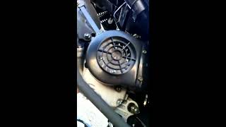 TAO TAO 50cc scooter oil change part 2 [upl. by Terrilyn]