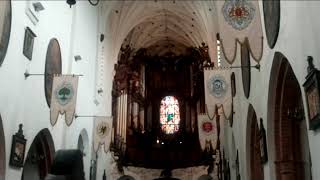 Koncert organowy w Katedrze Oliwskiej  Organ concert in the Oliwa Cathedral [upl. by Akino61]