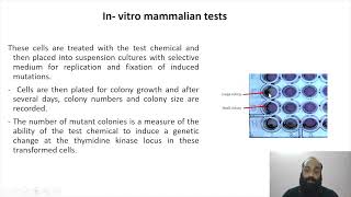 Genotoxicity and mutagenicity testing II Part 7 [upl. by Harald]