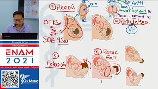 TEORIA I  OBSTETRICIA [upl. by Coe]