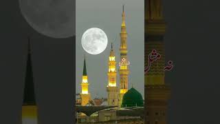 Hasraten Na Abu Bakr sa main Rafeeqe Safar hoon naat bestnaatsharif ytviral bestnaat beautiful [upl. by Louie5]