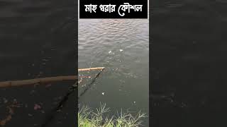 না দেখলে পুরাই মিসyoutubeshorts​shortsfeed​ shortvideo​trendingshorts​vairal​ [upl. by Ayahs69]