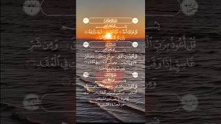 subhnAllah walhumdulillah laillahaillah allahoakbar youtubeshorts viralvideo [upl. by Alat]