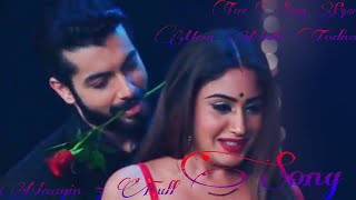 Naagin 5 full Song Tere Sang Pyar Mein Nahi Todna Colors HD TV and Colors Rishtey ANVH TV [upl. by Hurd]