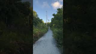 Frying Pan Fire Tower in Pisgah National Forest NC before Helene firetower [upl. by Nnaid]