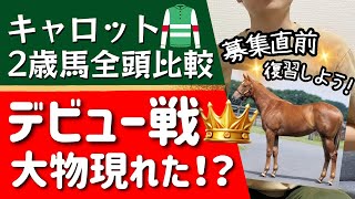 【競馬】【一口馬主】キャロットクラブ2024新馬戦の結果＆デビュー予定！２歳馬特集！ [upl. by Adliw]