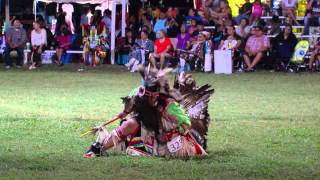 Oklahoma Indian Nations Powwow 2014 [upl. by Airotnahs]