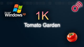 Especial 1K  Probando Windows XP Tomato Garden TomatoLei [upl. by Ilatfan520]