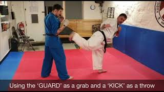 Back Kick used in throwing KUDO JUDO [upl. by Nuhsyar]