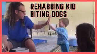 Dog bites kids how to rehab aggressive dog training [upl. by Isabel]