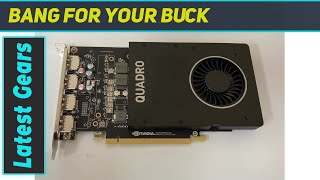 reviewHP NVIDIA Quadro P2000 5GB Graphics Unleashing HighPerformance Visuals [upl. by Eusassilem]