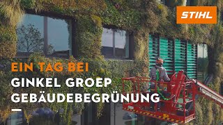 STIHL Akkugeräte  Ein Tag mit Ginkel Groep Urban Greening [upl. by Airtemak]