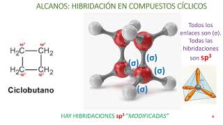 QUÍMICA ORGÁNICA VIDEO 2 Alcanos Hibridación estructura nomenclatura y propiedades físicas [upl. by Rie]