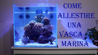 Come allestire un acquario marino [upl. by Zingg]