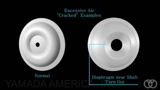 Yamada® Understanding Diaphragm Failures [upl. by Hnacogn698]