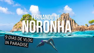 ROTEIRO de 9 DIAS em FERNANDO DE NORONHA  Praias trilhas mergulho e muitas dicas [upl. by Omar864]