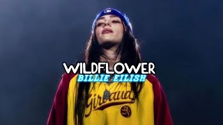 WILDFLOWER BY BILLIE EILISH TRADUCIDO EN ESPAÑOL  VALERIA GLM [upl. by Eniar]