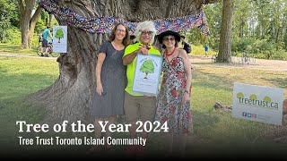 Tree of the Year 2024 Tree Trust TORONTO ISLAND Community [upl. by Batish446]