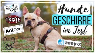 WELCHES GESCHIRR DER GROSSE HUNDEGESCHIRR TEST [upl. by Fredrick]