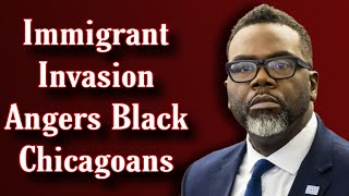 Immigrant Crisis Angers Black Chicagoans [upl. by Yhtur582]