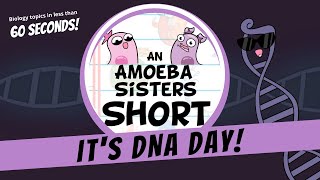 DNA Day 🧬  Amoeba Sisters Shorts DNADay [upl. by Annaoi]