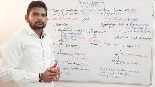 Terpenes BiosynthesisPlants Secondary MetabolitesCSIR NET Part2 in Hindi [upl. by Doll]