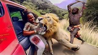 20 Times African Safari Trips Went Horribly Wrong [upl. by Uni39]