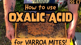 EVERYTHING You Need To Know About Oxalic Acid  HOW To Use It  Beekeeping 101 beekeeping [upl. by Satterfield]