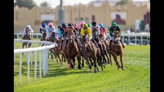 24th Al Rayyan Race Meeting  HE Sheikh Joaan bin Hamad Al Thani Rifle  Season 20232024 [upl. by Nipha]