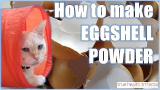 How to make Raw Cat Food WITHOUT Chicken Bone  Eggshell Powder Recipe  Cat Lady Fitness [upl. by Jammin]