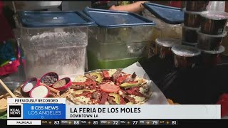 La Feria de los Moles draws thousands to downtown Los Angeles [upl. by Esaertal]