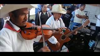 Baile tradicional EL CALABACEADO de San Francisco Jaltepetongo Nochixtlan Oaxaca [upl. by Ellinger]