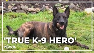 Retired police dog competing for 10K award for Oregon nonprofits [upl. by Julienne349]