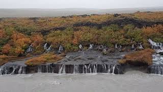 IJsland  Hraunfossar watervallen [upl. by Hsizan]