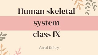 Human skeletal system  class IX ICSE board [upl. by Audwin790]