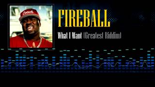 Fireball  What I Want Greatest Riddim [upl. by Airbmak]