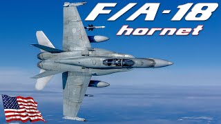 FA18 HORNET  American Supersonic Twin Engine Combat Jet Made By McDonnell Douglas HD Documentary [upl. by Ayian]